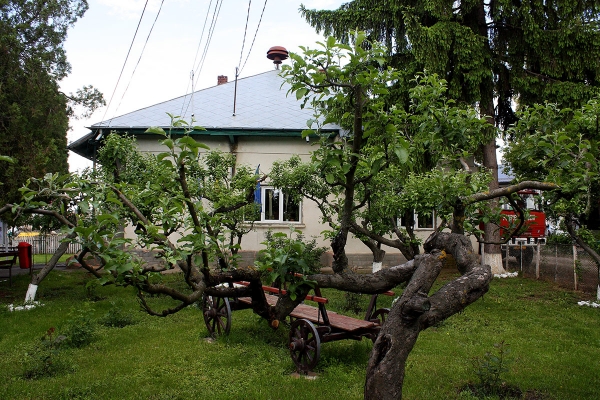 Primăria Comunei Vlădeni, județul Iași